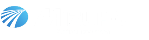 MIZUHO Logo